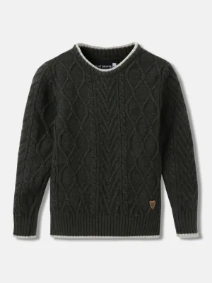 Blue Giraffe Boys Solid Full Sleeves Round Neck Sweater