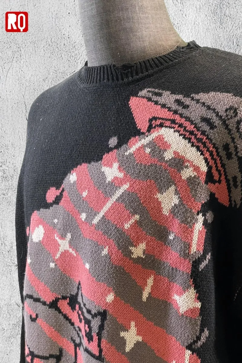 UFO takes Raccoon Knitted distressed sweater