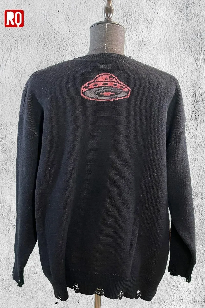 UFO takes Raccoon Knitted distressed sweater